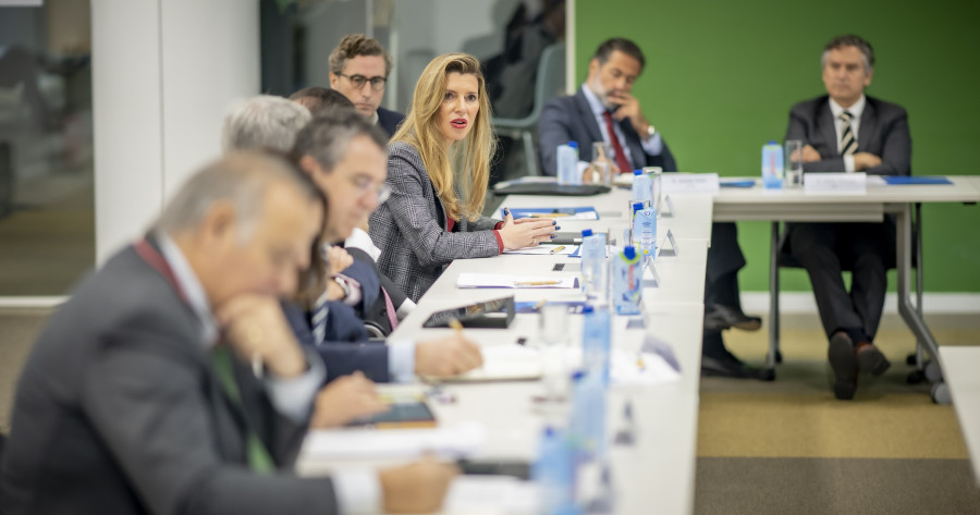 Carmen Díaz Participación CEEDS