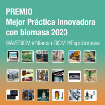 Premio mejor practica innovadora biomasa AVEBIOM 2023