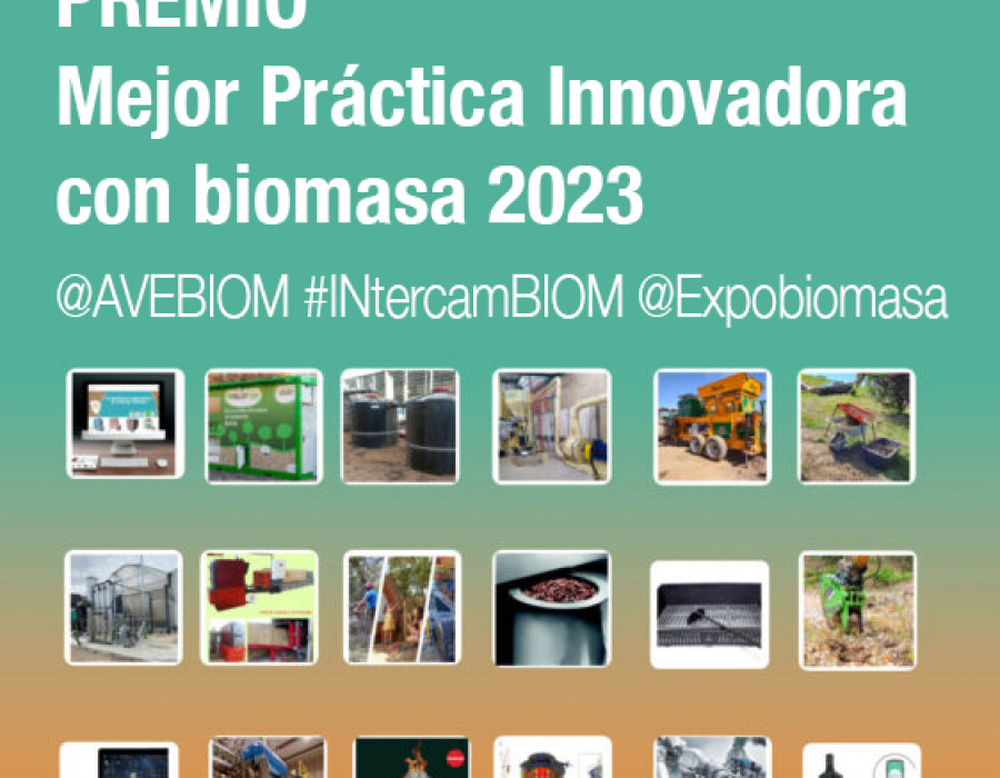 Premio mejor practica innovadora biomasa AVEBIOM 2023