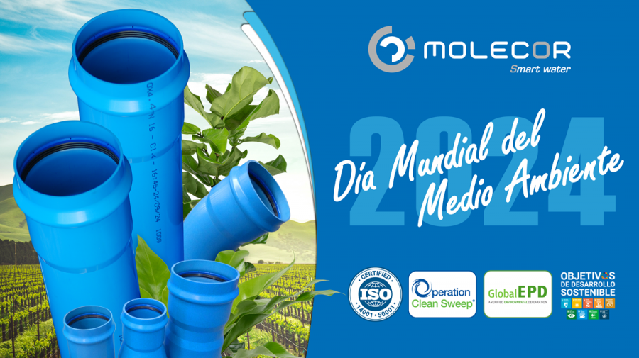 Imagen grande ES