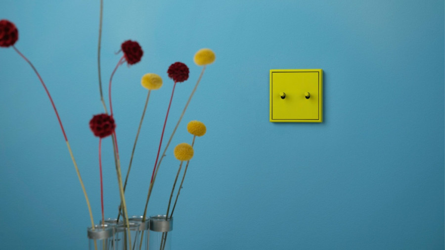 JUNG AMBI LS 1912 toggle switch Les Couleurs Le Corbusier