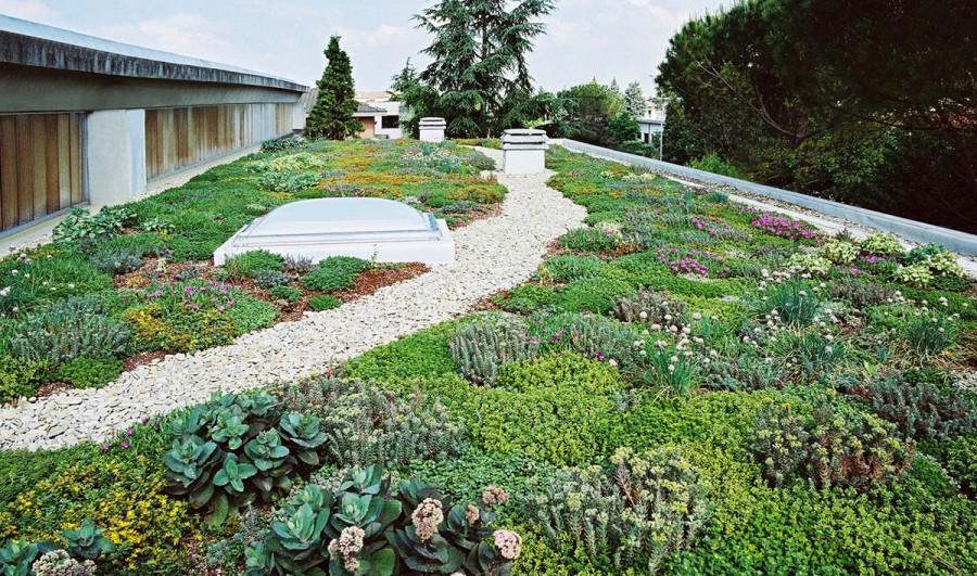 GreenROOF 1