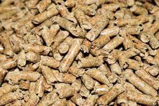 Pellets 4844847 1280