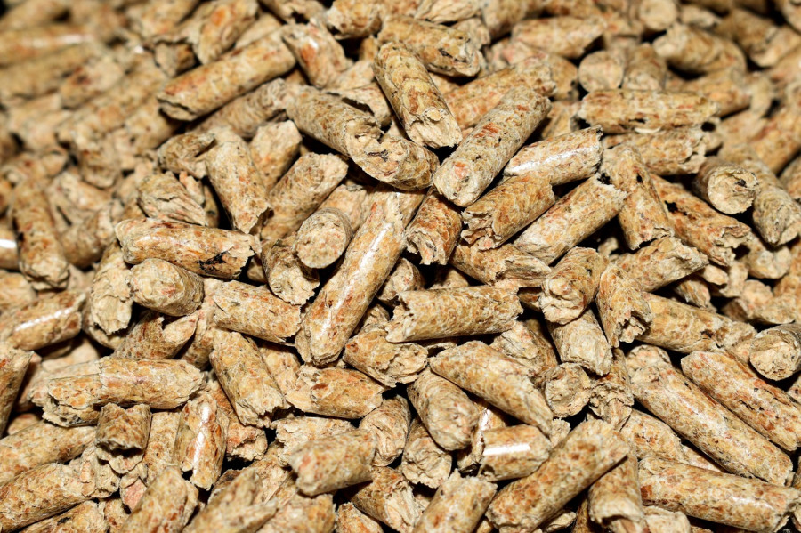 Pellets 4844847 1280